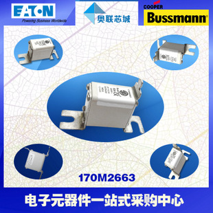 特价，原装BUSSMANN快速熔断器170M2663现货,热卖!
