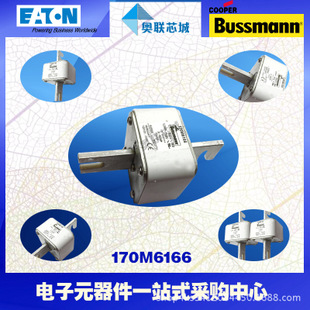 特价，原装BUSSMANN快速熔断器170M6166现货,热卖!