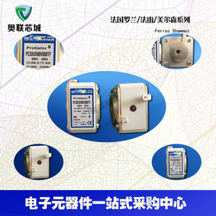 原装法雷Ferraz/罗兰熔断器PC30UD69V450D1A S300695特价